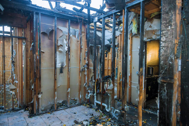 Professional Fire Damage Repair technician working in Galesville, WI